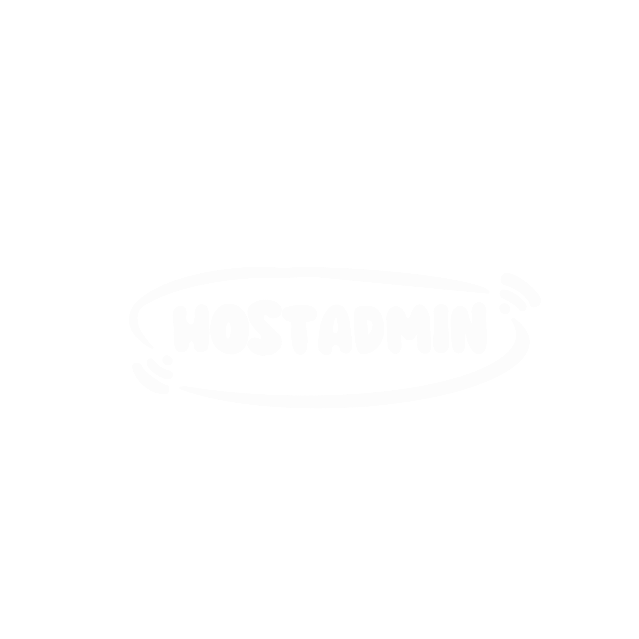 Logo HostAdmin